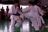 mu (119)_samu.gif